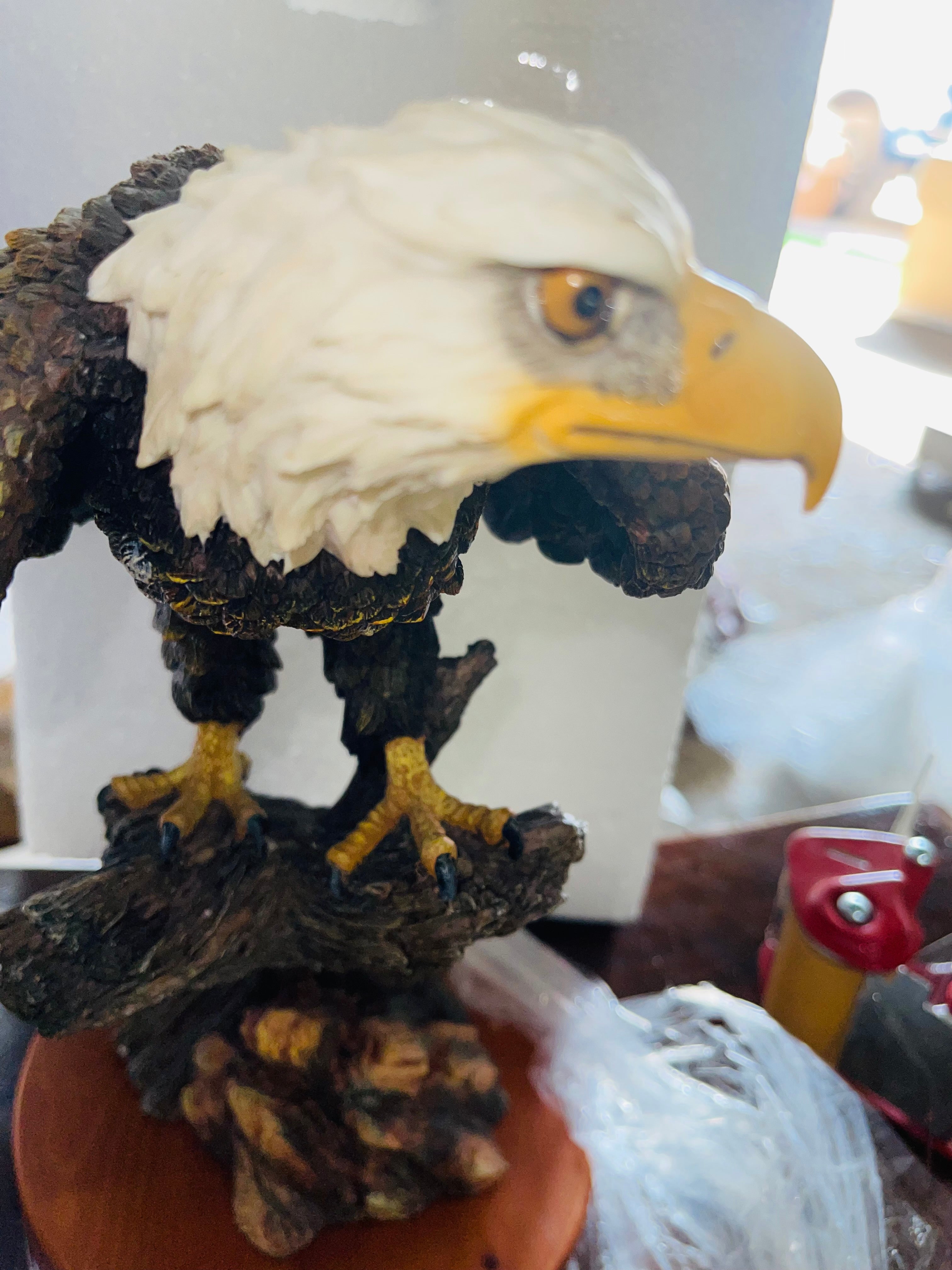 Eagle Sitting On A Branch The Gracy Rock Collection From Usa