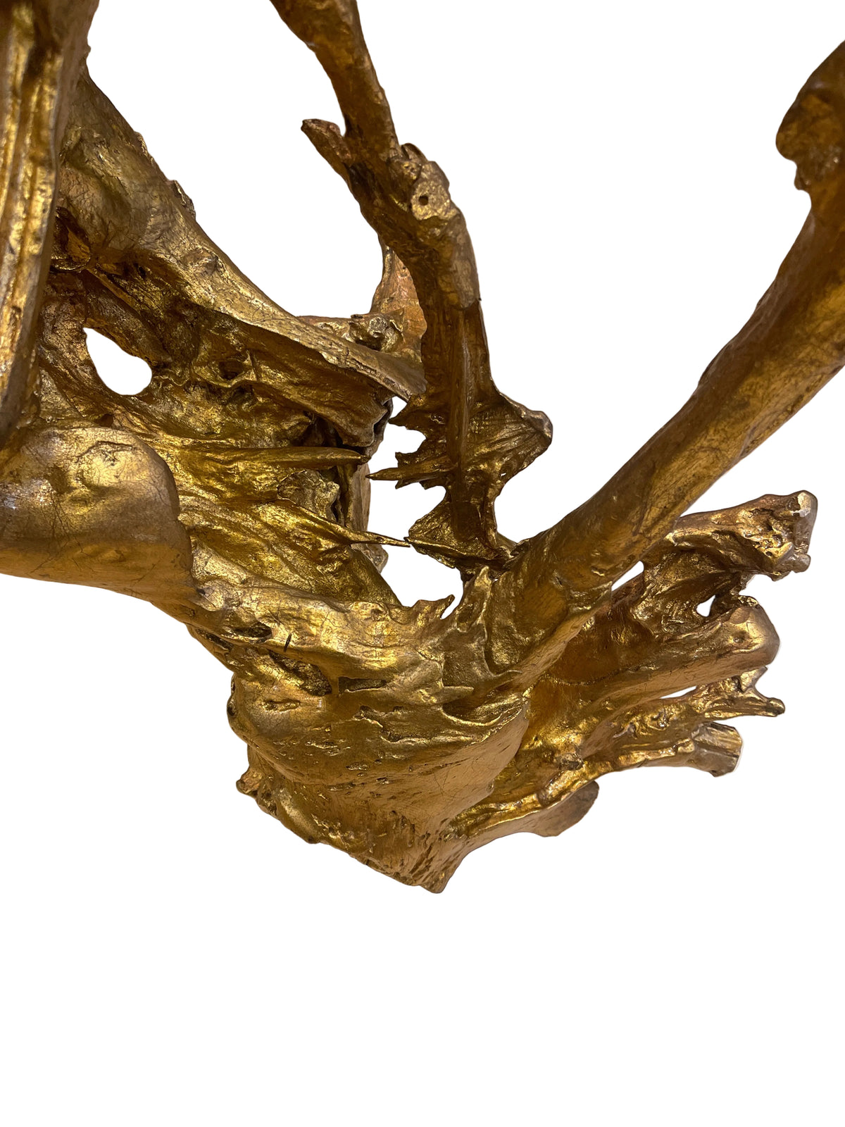 Real teakwood tree branch from Indonesia