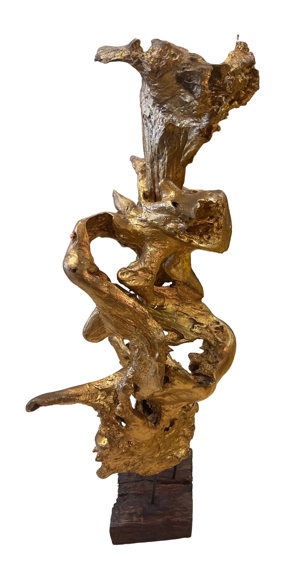 Real teakwood tree branch from Indonesia