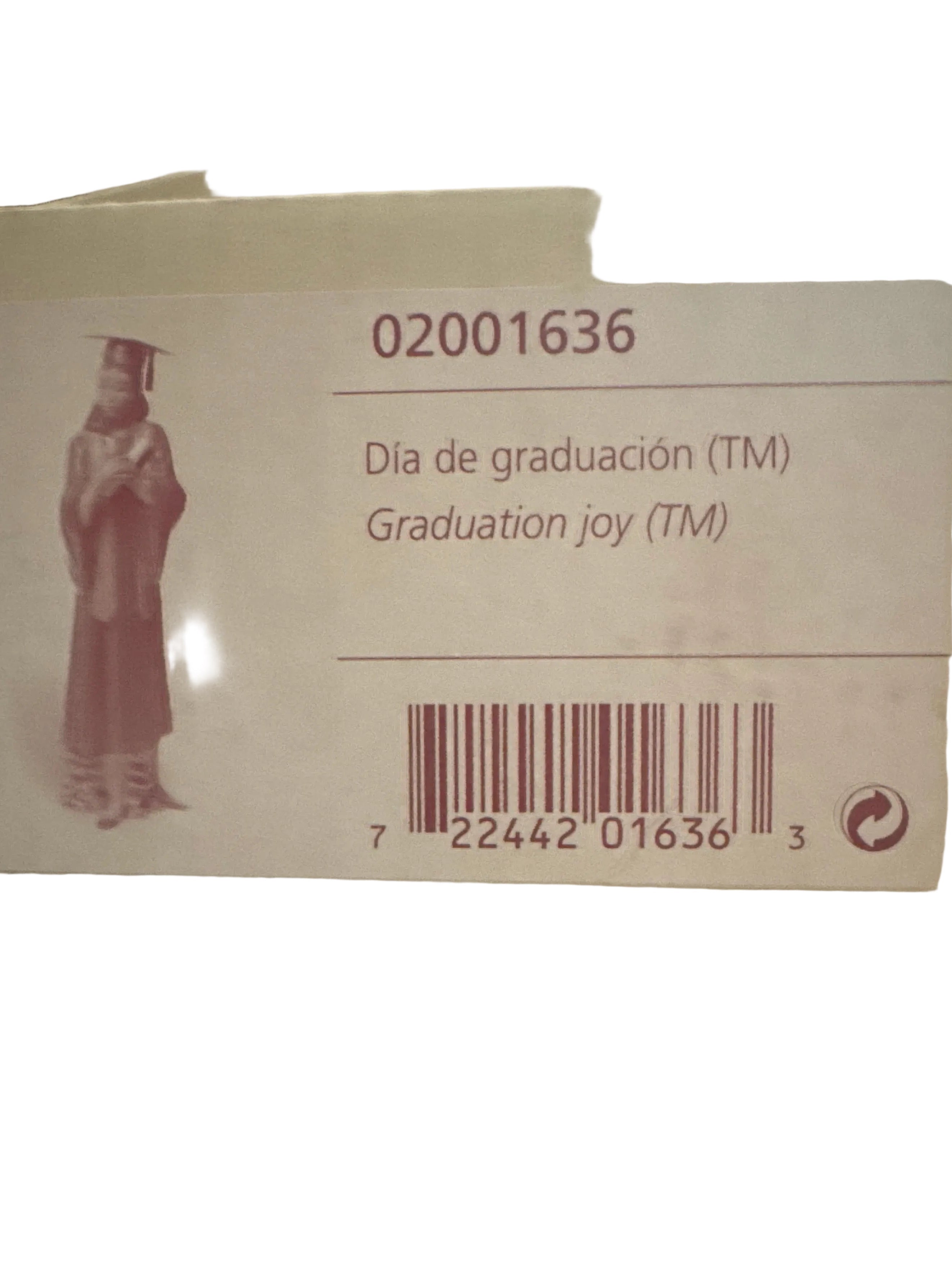 NAO Graduation joy 02001636 Lladro damage