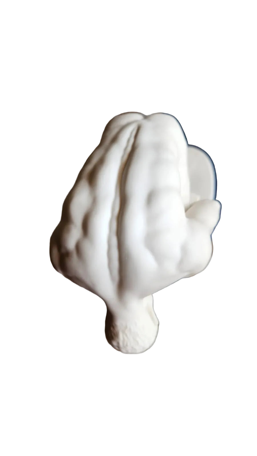 Nude Man macho 12”