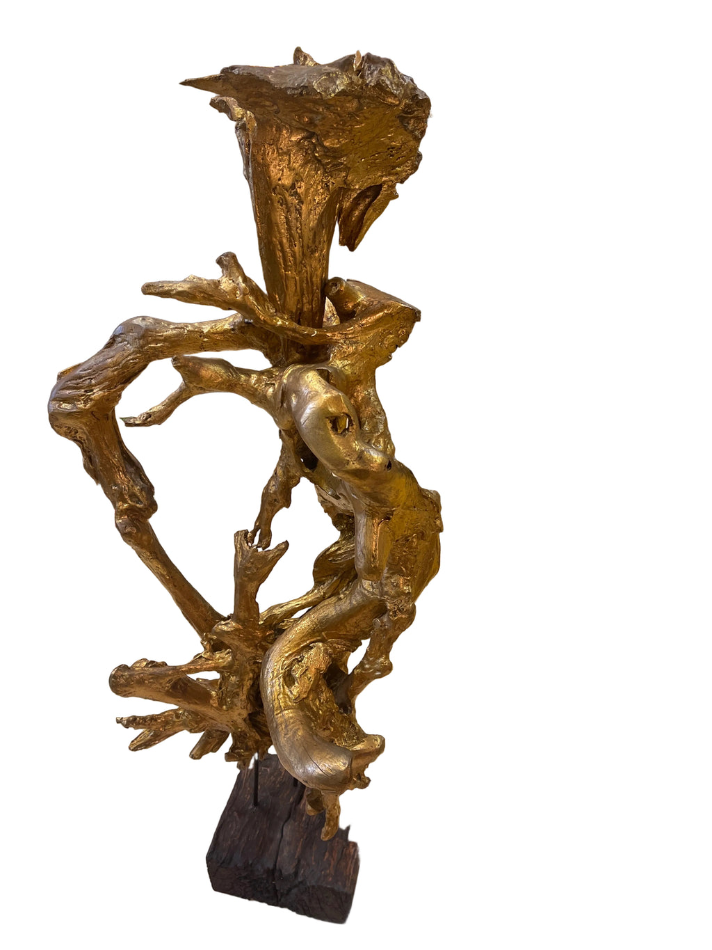 Real teakwood tree branch from Indonesia