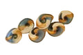 Porcelain Wall Mount Decorative Plates Set Of 9
