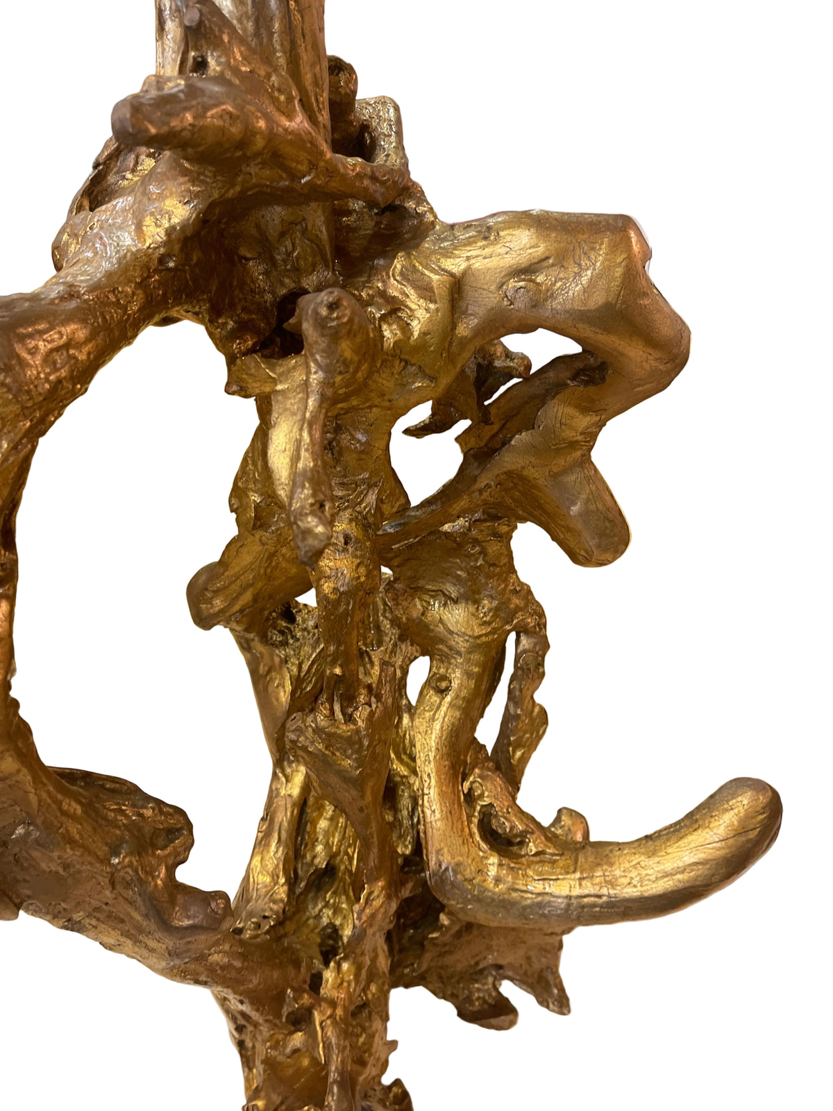 Real teakwood tree branch from Indonesia