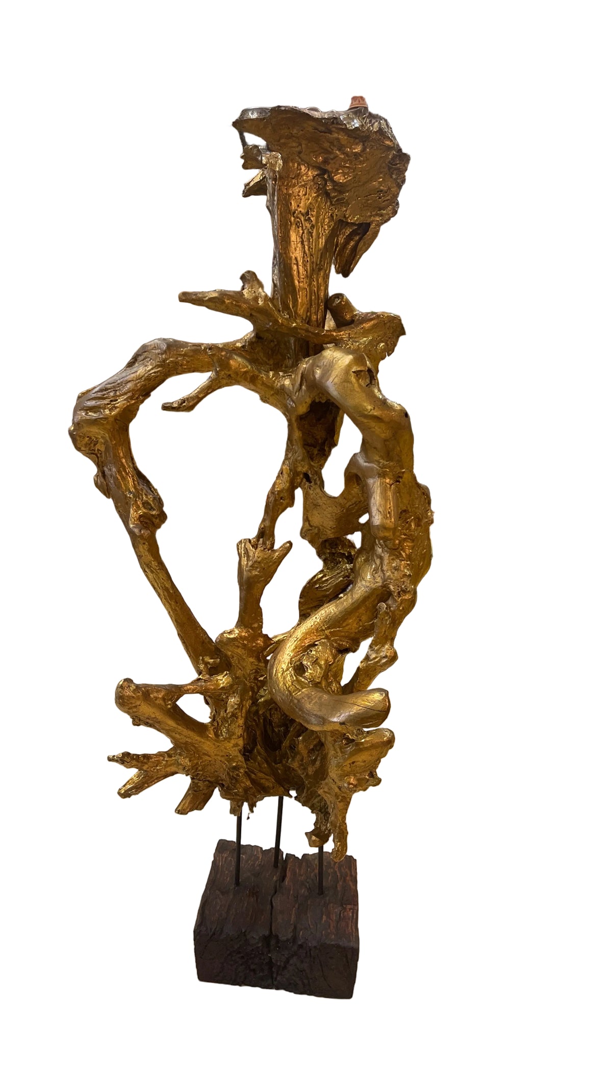 Real teakwood tree branch from Indonesia