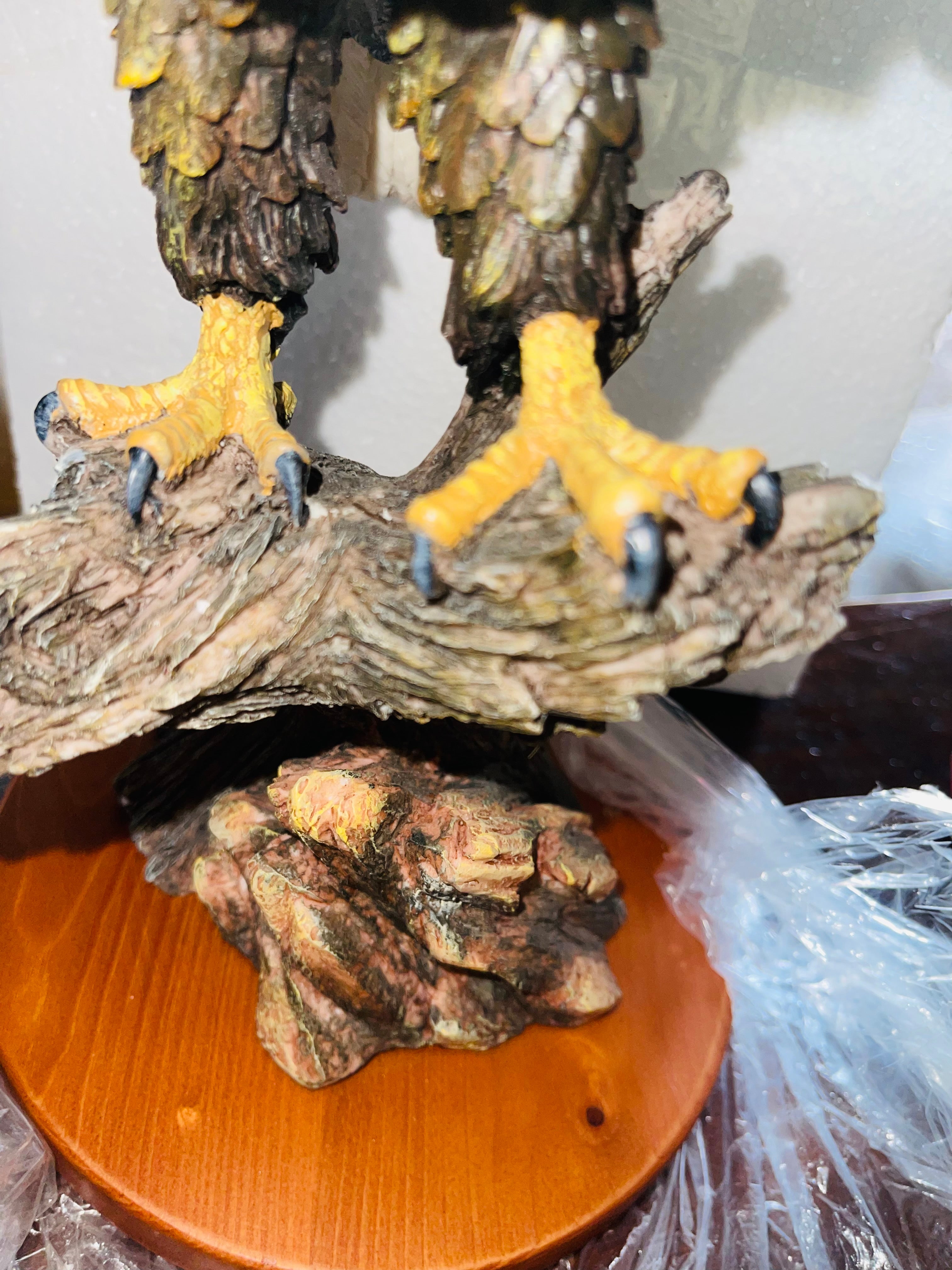 Eagle Sitting On A Branch The Gracy Rock Collection From Usa