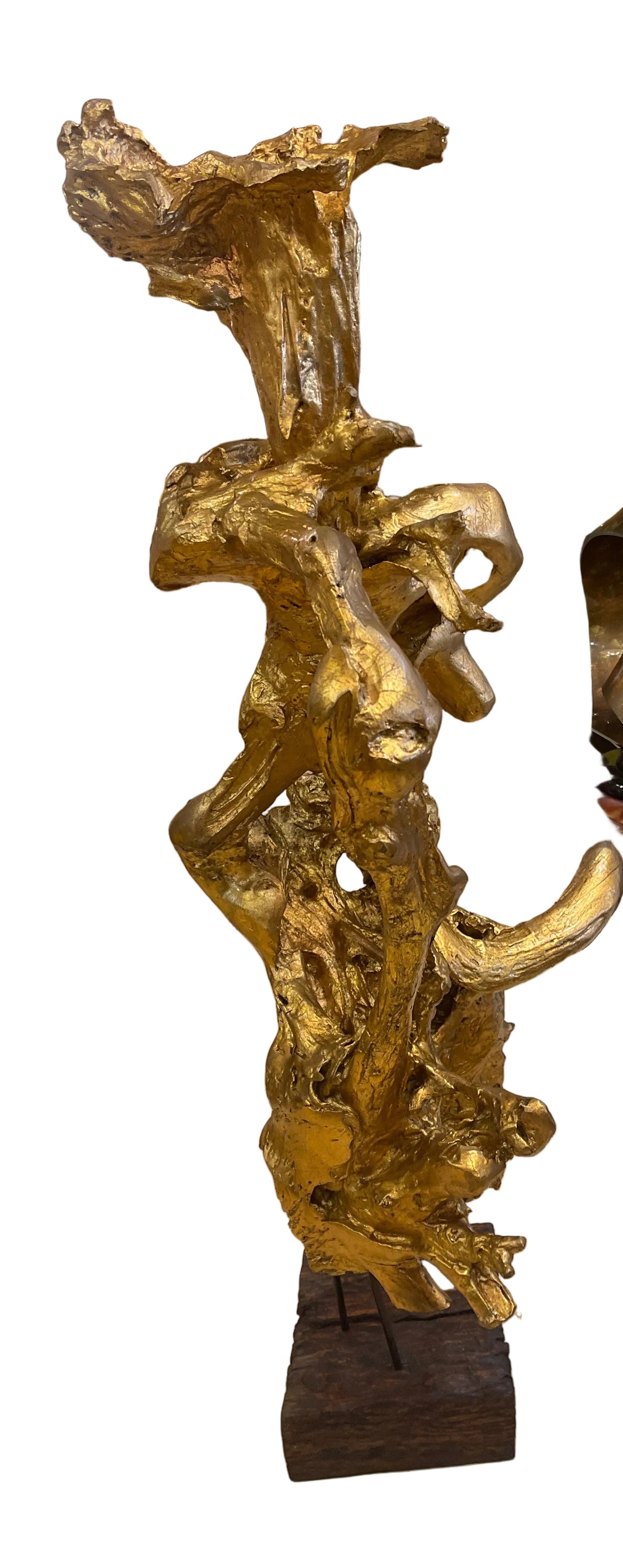 Real teakwood tree branch from Indonesia