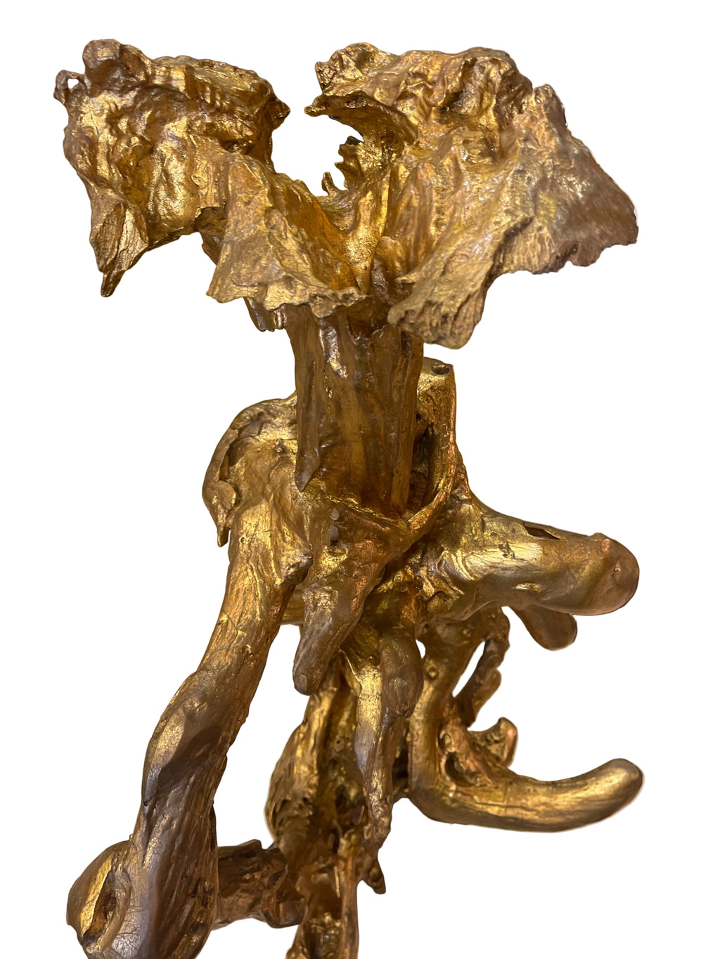 Real teakwood tree branch from Indonesia