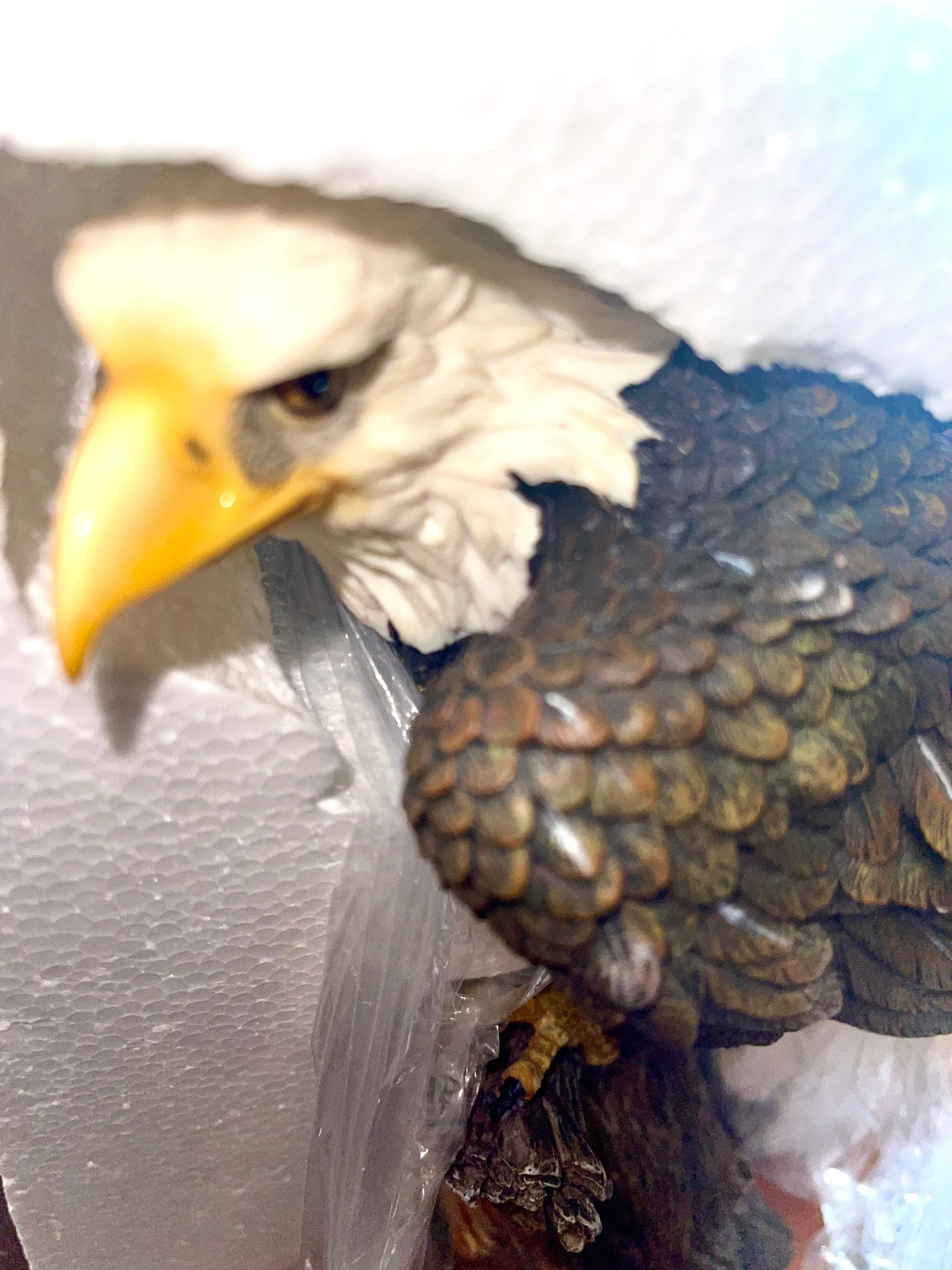 Eagle Sitting On A Branch The Gracy Rock Collection From Usa