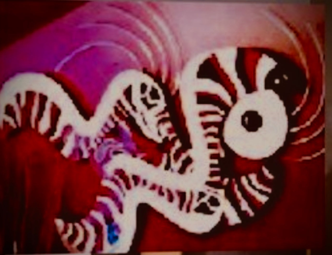 Shlomi Haziza Red And Black Zebra Wall Art Made In Usa